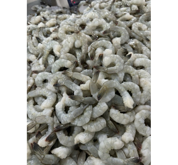 TÔM THẺ NGUYÊN CON ĐÔNG LẠNH 